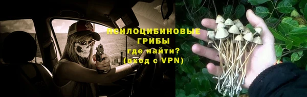прущая мука Вязники