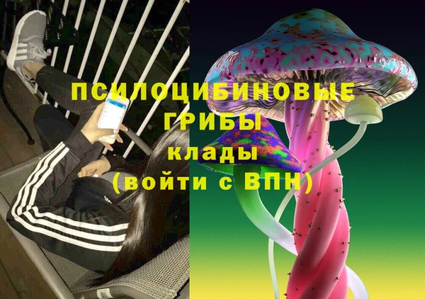 прущая мука Вязники
