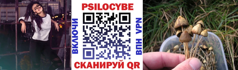 Псилоцибиновые грибы Cubensis  Купить  Михайловск 