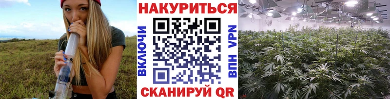 МАРИХУАНА SATIVA & INDICA  Купить закладки  Михайловск 